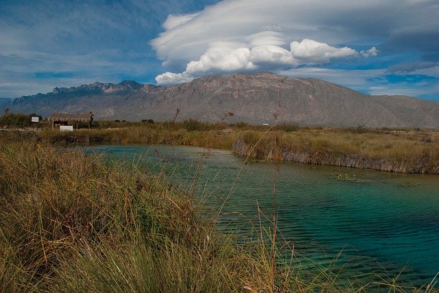 qualitas coahuila